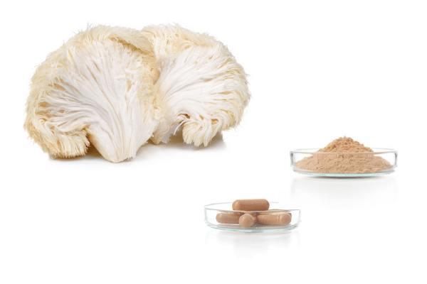 Lion’s Mane – 60 Herbal Capsules (Earth’s Love Apothecary – 60 Vegan Capsules)