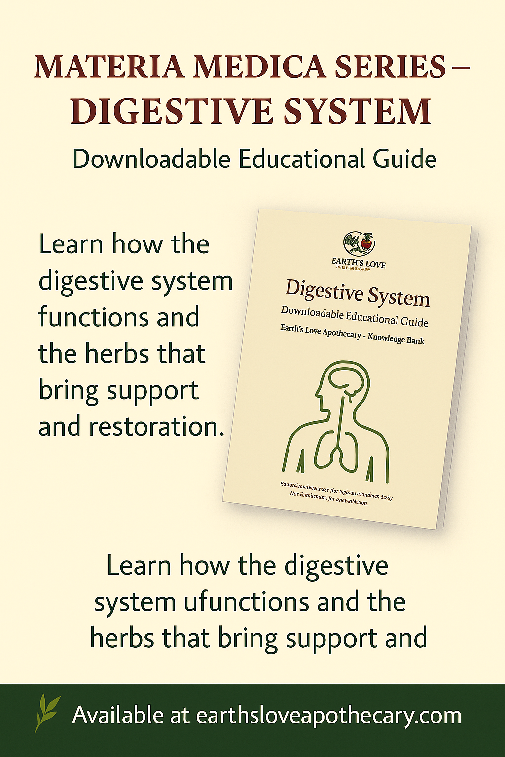 Digestive System: Materia Medica: (Downloadable PDF)