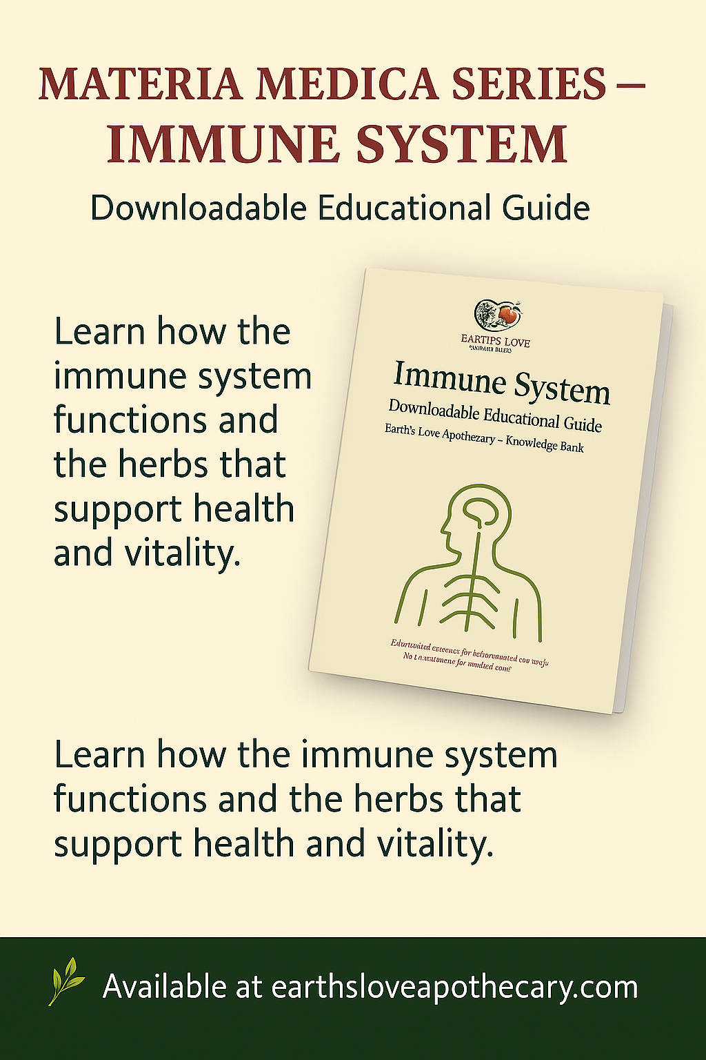 Immune System: Materia Medica (Downloadable PDF)