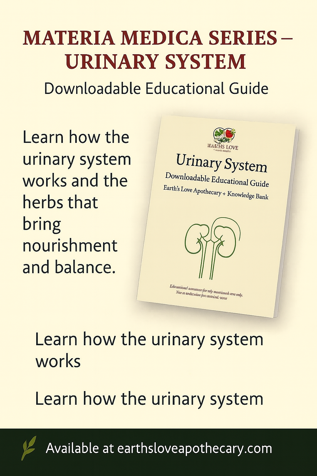Urinary System:Materia Medica (Downloadable PDF)