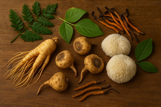 Natural Strength: How Herbs and Mushrooms Support Men’s Health