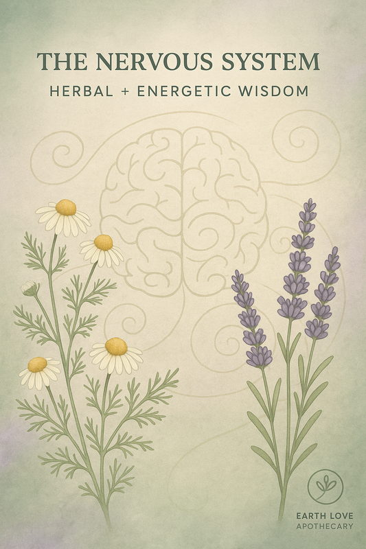 The Nervous System: Herbal+ Energetic Wisdom