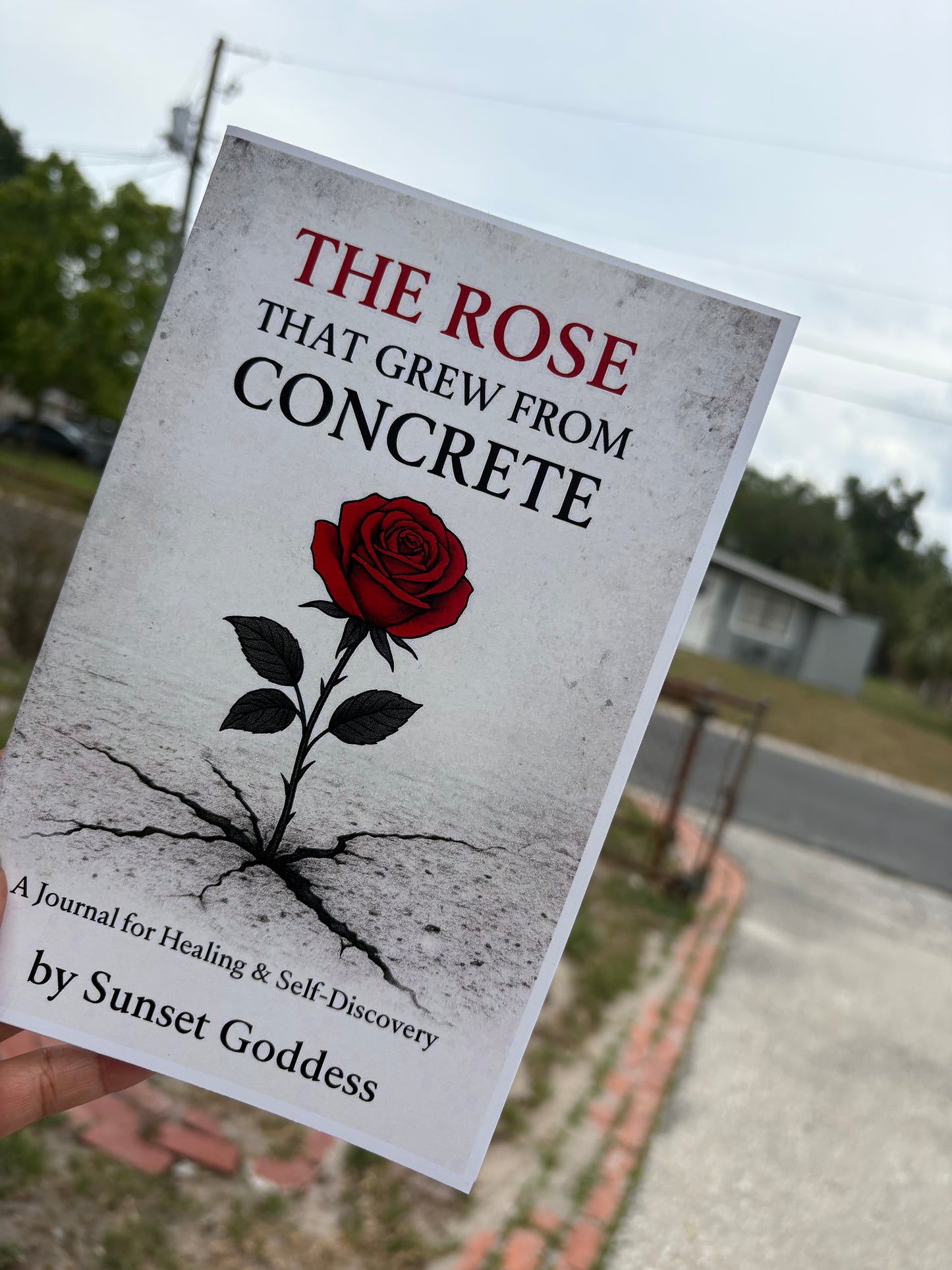 The Rose That Grew from the Concrete: A 21-Day Womb Healing Journal