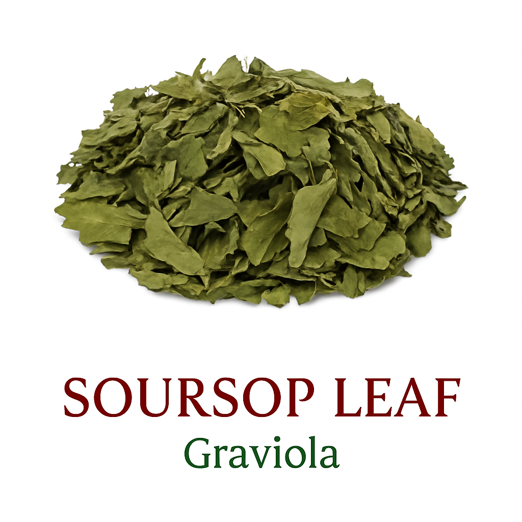 Soursop Leaf – Loose Leaf Herbal Tea (3 oz)