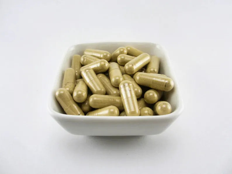 Lion’s Mane – 60 Herbal Capsules (Earth’s Love Apothecary – 60 Vegan Capsules)