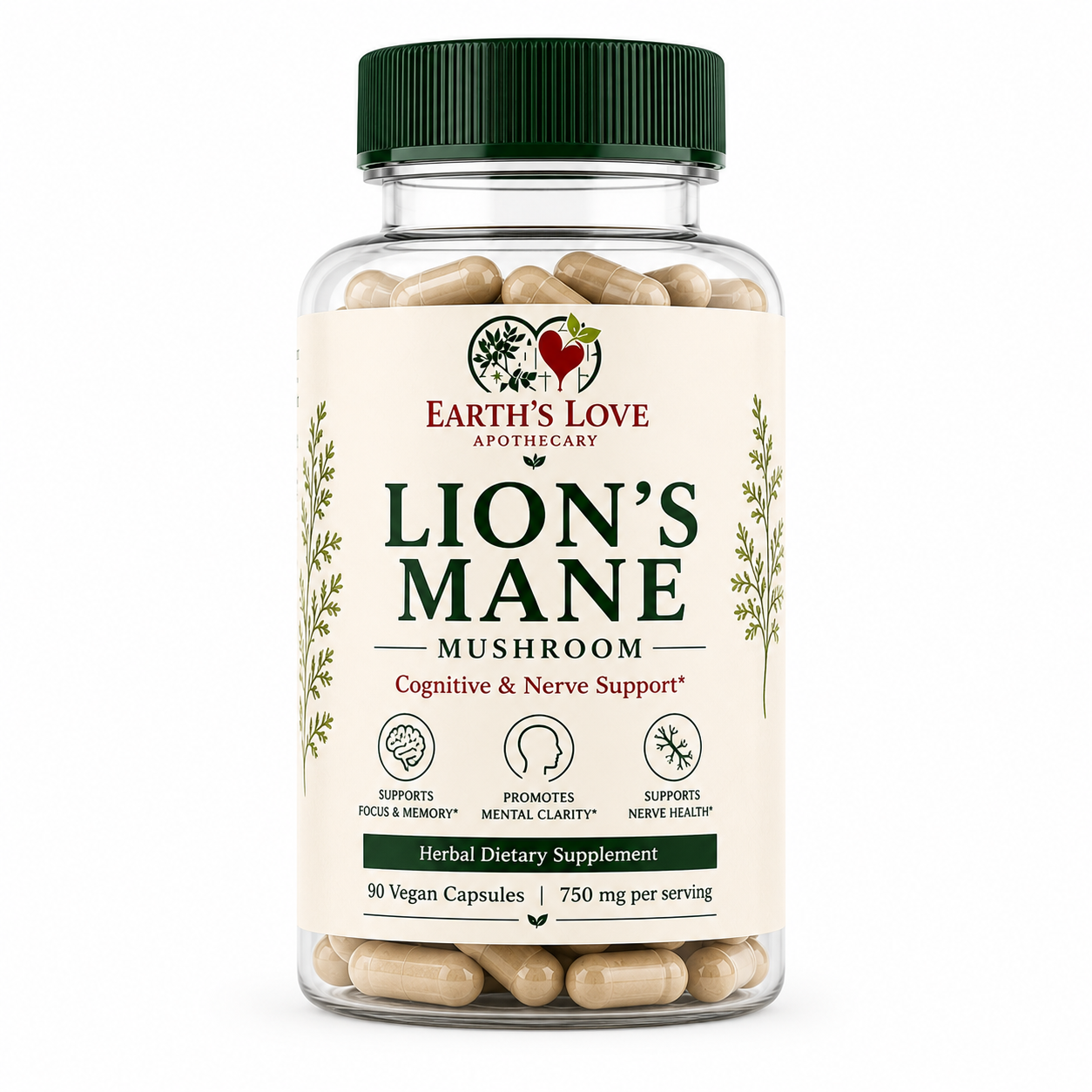 Lion’s Mane Mushroom | Herbal Capsules