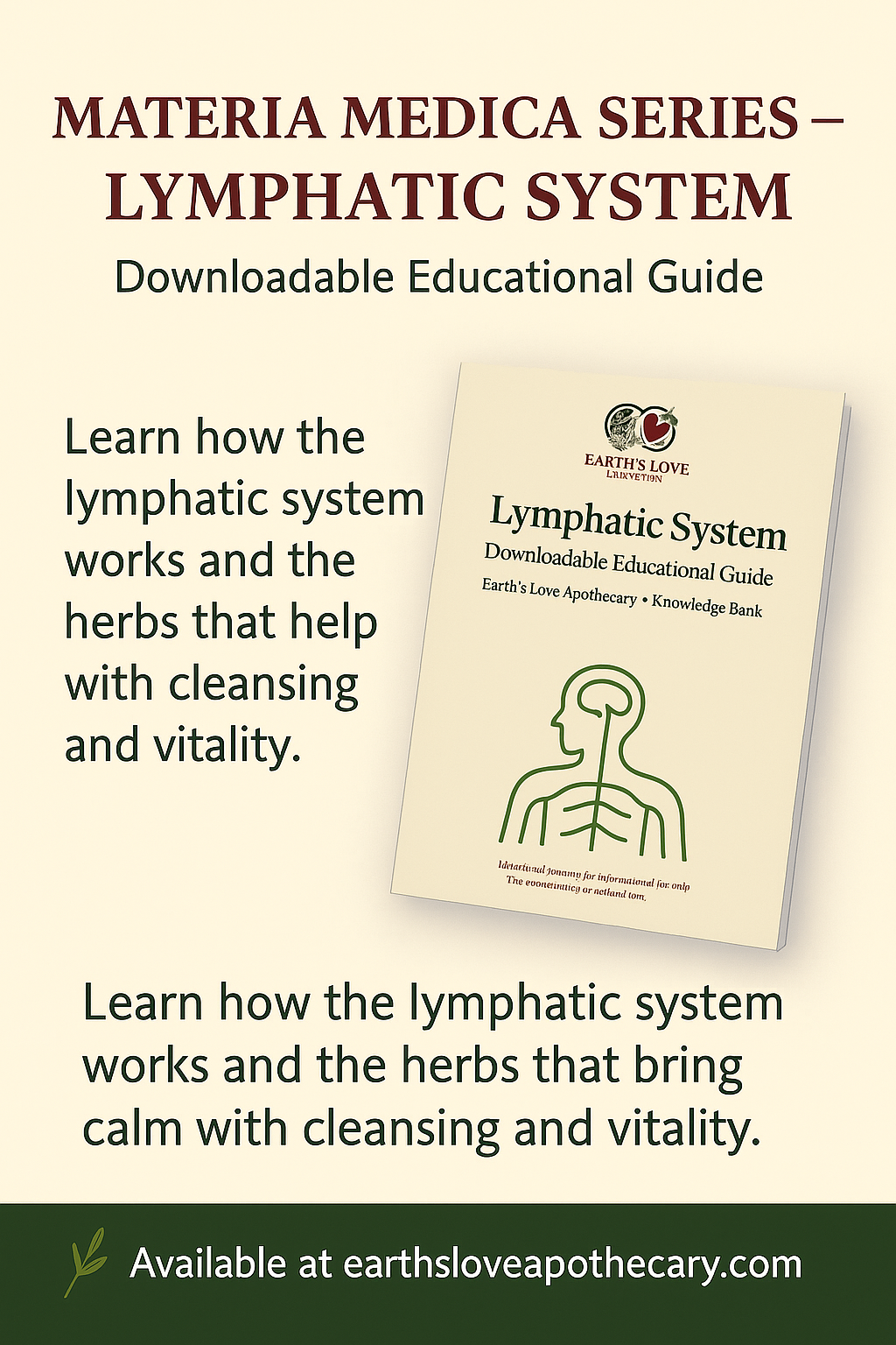 Lymphatic System: Materia Medica (Downloadable PDF)