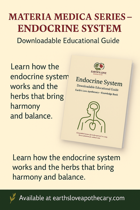Endocrine System: Materia Medica (Downloadable PDF)
