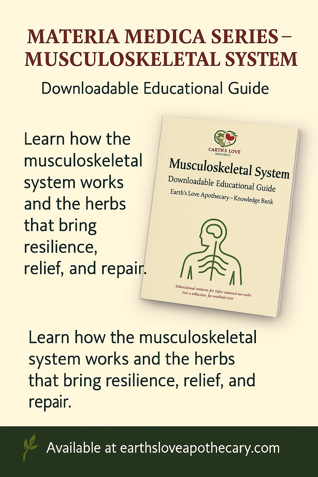 Musculoskeletal System: Materia Medica (Downloadable PDF)