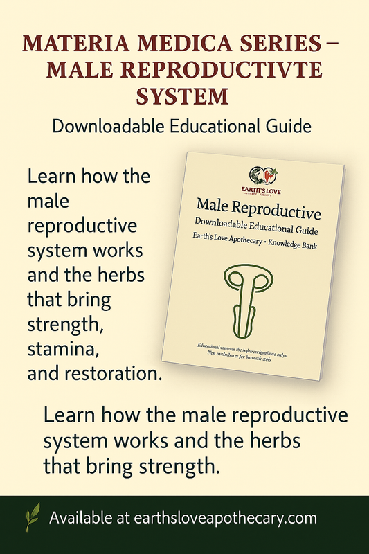 Male Reproductive System: Materia Medica (Downloadable PDF)