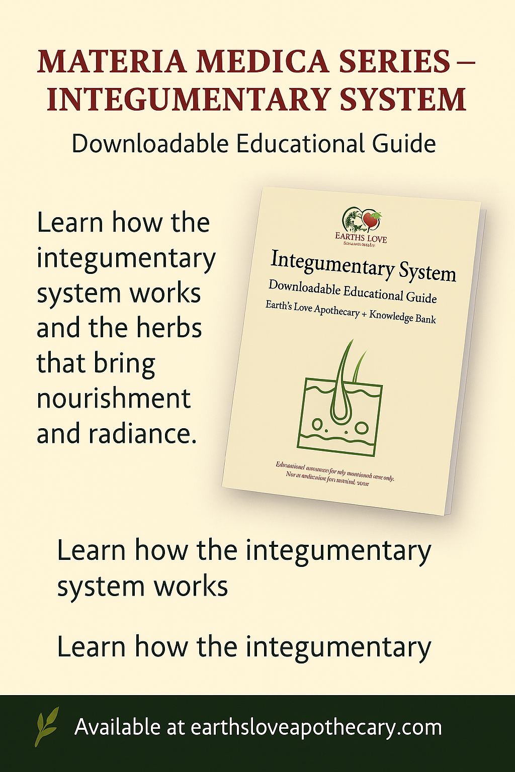 Integumentary System: Materia Medica (Downloadable PDF)