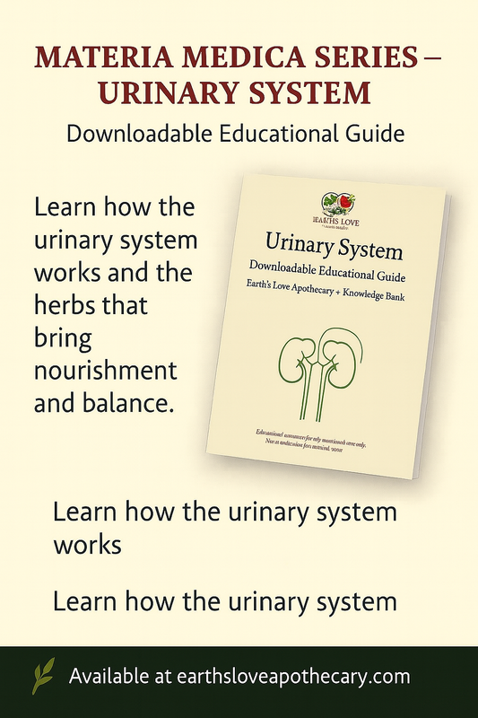 Urinary System:Materia Medica (Downloadable PDF)